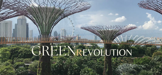 A photo of the Supertrees of Singapore's Gardens by the Bay with a view of the city in the background